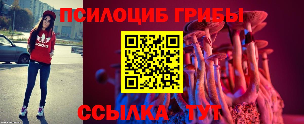 Псилоцибиновые грибы Psilocybine cubensis Нефтекамск